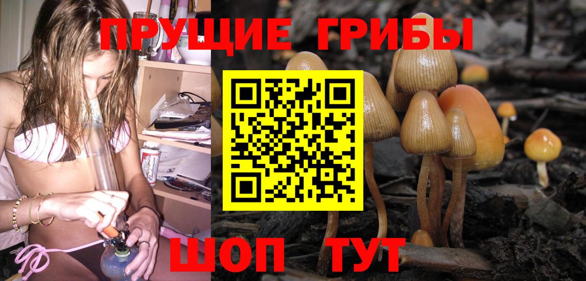 Галлюциногенные грибы Cubensis Армавир